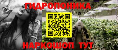 ECSTASY Кулебаки
