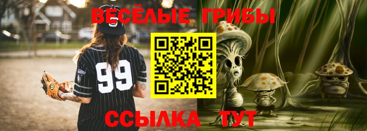 Псилоцибиновые грибы GOLDEN TEACHER  Вход с VPN  Старая Купавна 